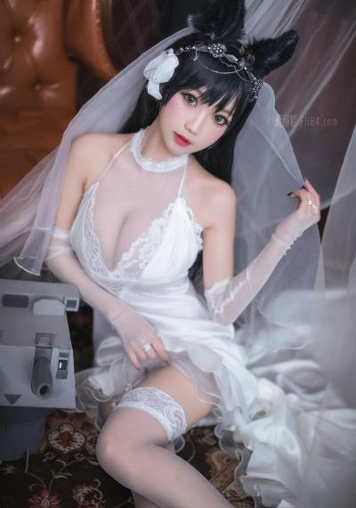 间之楔动漫旧版完整在线观看