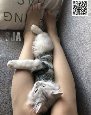 假面骑士界外者在线观看