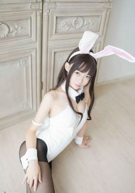 电视剧南来北往免费观看