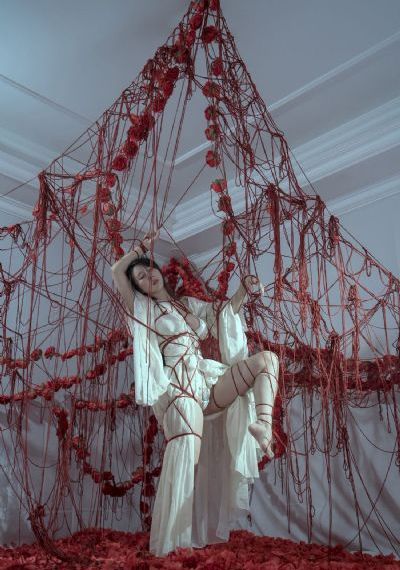睡美人之终