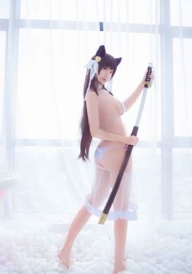 乘风踏浪电视剧免费观看高清